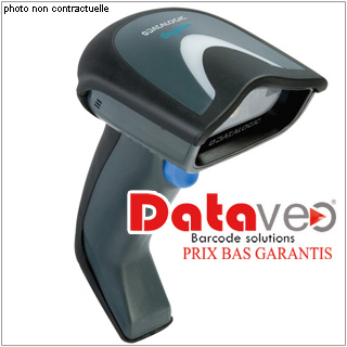 Datalogic GRYPHON L GD4300